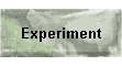 Experiment