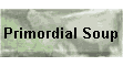 Primordial Soup