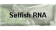 Selfish RNA